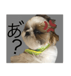 ふくっ！！（個別スタンプ：13）