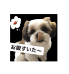 ふくっ！！（個別スタンプ：14）