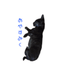 zizi☻*（個別スタンプ：5）