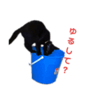 zizi☻*（個別スタンプ：9）