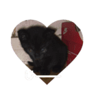 zizi☻*（個別スタンプ：11）
