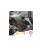 zizi☻*（個別スタンプ：14）