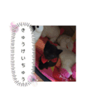 zizi☻*（個別スタンプ：15）