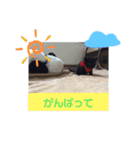 zizi☻*（個別スタンプ：16）