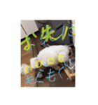 ヤッホー使ってね！（個別スタンプ：5）