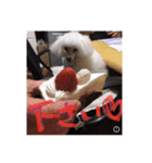 ヤッホー使ってね！（個別スタンプ：6）