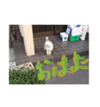 ヤッホー使ってね！（個別スタンプ：7）