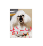 ヤッホー使ってね！（個別スタンプ：8）