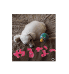 ヤッホー使ってね！（個別スタンプ：9）