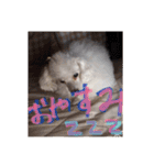 ヤッホー使ってね！（個別スタンプ：10）
