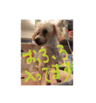 ヤッホー使ってね！（個別スタンプ：12）