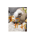 ヤッホー使ってね！（個別スタンプ：13）