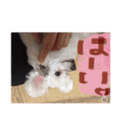 ヤッホー使ってね！（個別スタンプ：14）