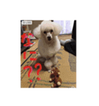 ヤッホー使ってね！（個別スタンプ：15）