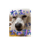 ヤッホー使ってね！（個別スタンプ：16）
