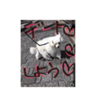 ヤッホー使ってね！（個別スタンプ：18）
