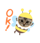 アメショのLUNA挨拶スタンプ（個別スタンプ：4）