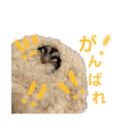 はるはるハウス（個別スタンプ：5）