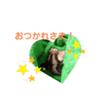 はるはるハウス（個別スタンプ：8）