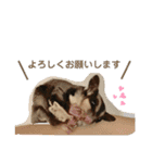 はるはるハウス（個別スタンプ：9）