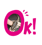 はるはるハウス（個別スタンプ：12）