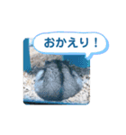 はるはるハウス（個別スタンプ：19）