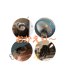 はるはるハウス（個別スタンプ：20）