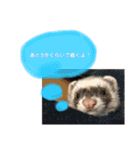 はるはるハウス（個別スタンプ：23）