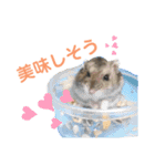 はるはるハウス（個別スタンプ：24）