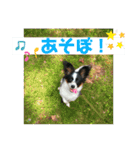 ちゃちゃ坊の日常（個別スタンプ：1）