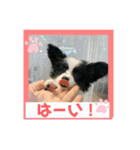 ちゃちゃ坊の日常（個別スタンプ：5）