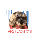 つっきースタンプ①（個別スタンプ：6）