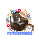 つっきースタンプ①（個別スタンプ：18）