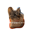 つっきースタンプ①（個別スタンプ：23）