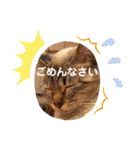 つっきースタンプ①（個別スタンプ：26）