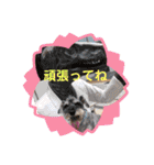 つっきースタンプ①（個別スタンプ：28）