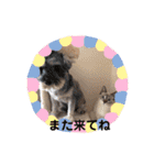 つっきースタンプ①（個別スタンプ：29）
