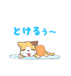 夏 宝石猫の三匹（個別スタンプ：4）