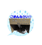 MONOさん（個別スタンプ：2）