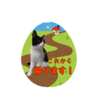 MONOさん（個別スタンプ：3）
