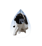 MONOさん（個別スタンプ：6）