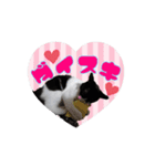 MONOさん（個別スタンプ：7）