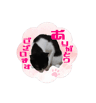 MONOさん（個別スタンプ：8）