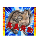 かわヨな猫ちゃんスタンプ2（個別スタンプ：24）