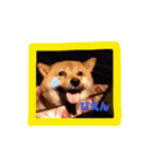 犬、時々カメとハム。（個別スタンプ：2）