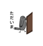 ハシブト先生（個別スタンプ：6）