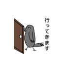 ハシブト先生（個別スタンプ：7）