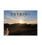 返事してもええんやで（個別スタンプ：2）