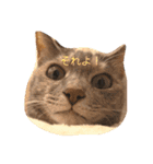 返事してもええんやで（個別スタンプ：3）