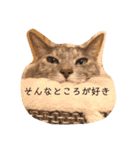 返事してもええんやで（個別スタンプ：10）